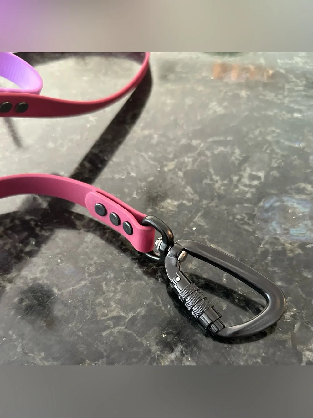 Custom BioThane Dog Leash 4 Ft Wine + Amethyst Traffic Handle Locking Carabiner